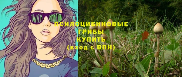 a pvp Алексин
