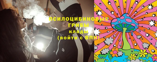 ешки Алексеевка