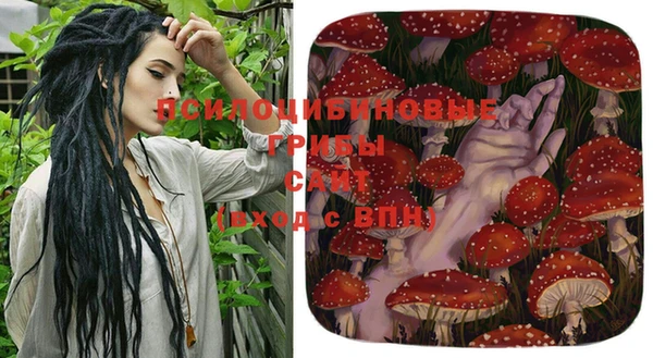 a pvp Алексин
