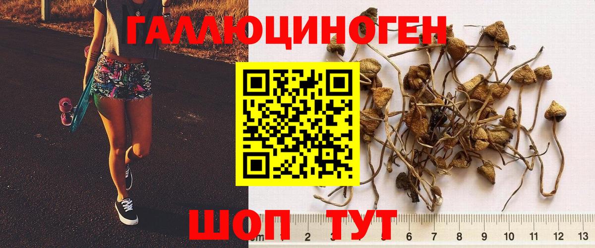 Alpha PVP СК кристаллы  Тулун  Марихуана  Мефедрон кристаллы  MDMA  Гашиш  Вход с VPN  COCAIN 