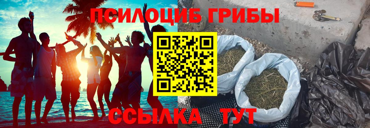 Псилоцибиновые грибы Magic Shrooms  купить наркоту  Тулун  Вход с VPN 