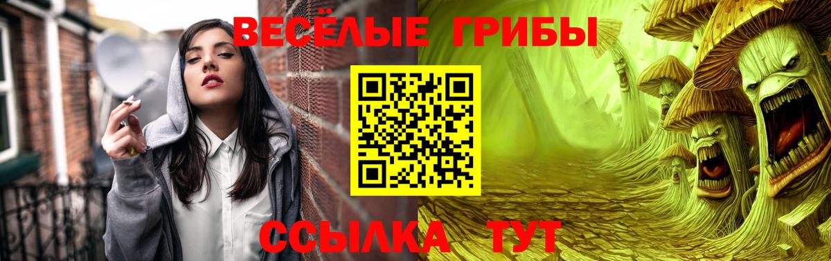 Галлюциногенные грибы GOLDEN TEACHER Тулун